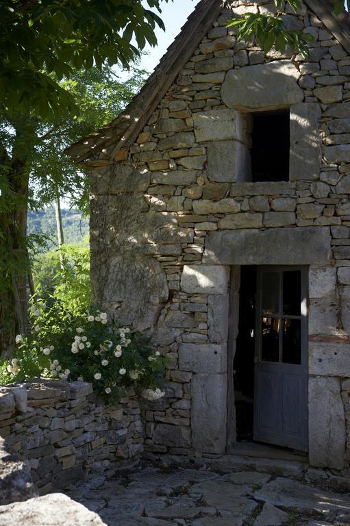 Bed and Breakfast Mas De Garrigue Calvignac Zewnętrze zdjęcie