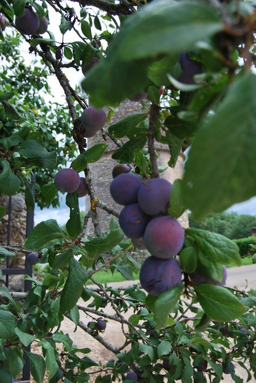 Bed and Breakfast Mas De Garrigue Calvignac Zewnętrze zdjęcie